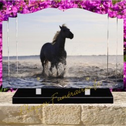 PLAQUE FUNÉRAIRE LIVRE PLEXI CHEVAUX W00300