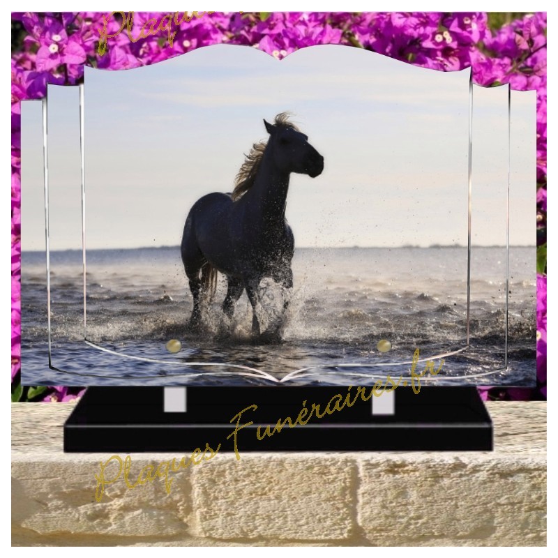 PLAQUE FUNÉRAIRE LIVRE PLEXI CHEVAUX W00300 PLAQUE FUNÉRAIRE LIVRE PLEXI CHEVAUX W00300