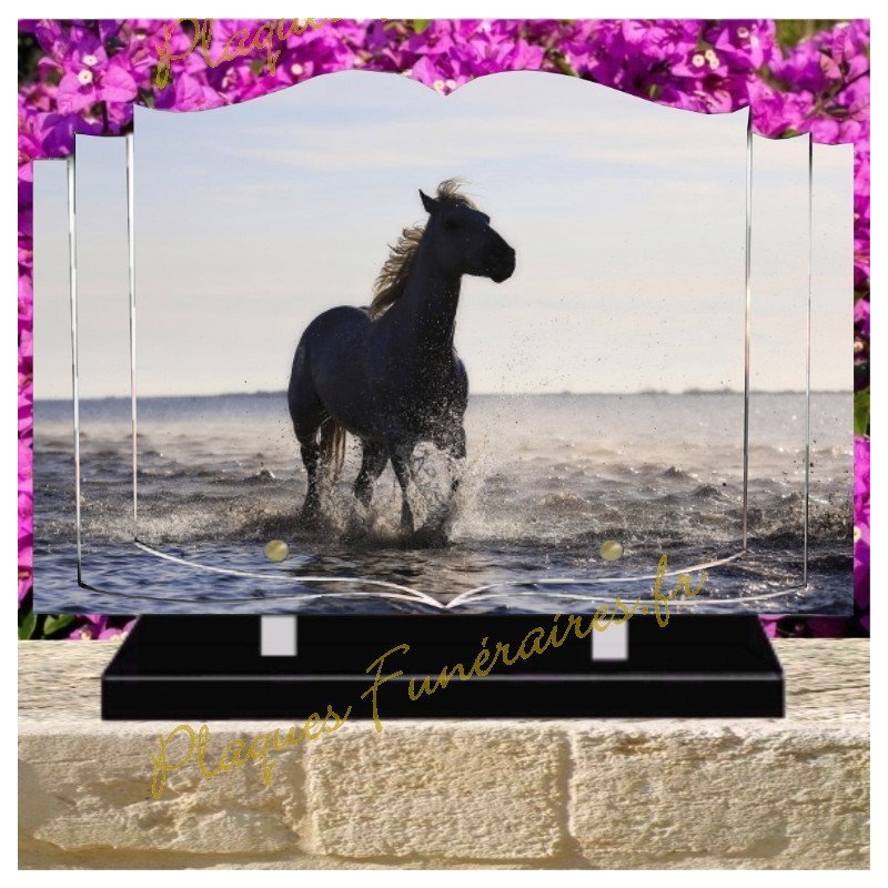 PLAQUE FUNÉRAIRE LIVRE PLEXI CHEVAUX W00300