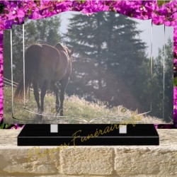 PLAQUE FUNÉRAIRE LIVRE PLEXI CHEVAUX W00302