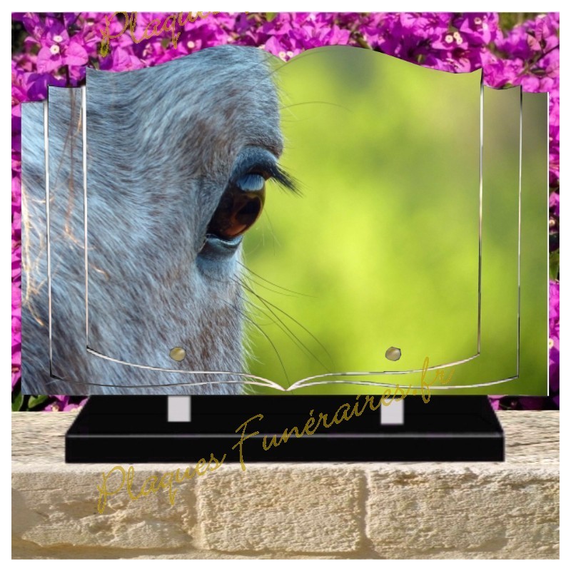 PLAQUE FUNÉRAIRE LIVRE PLEXI CHEVAUX W00304 PLAQUE FUNÉRAIRE LIVRE PLEXI CHEVAUX W00304