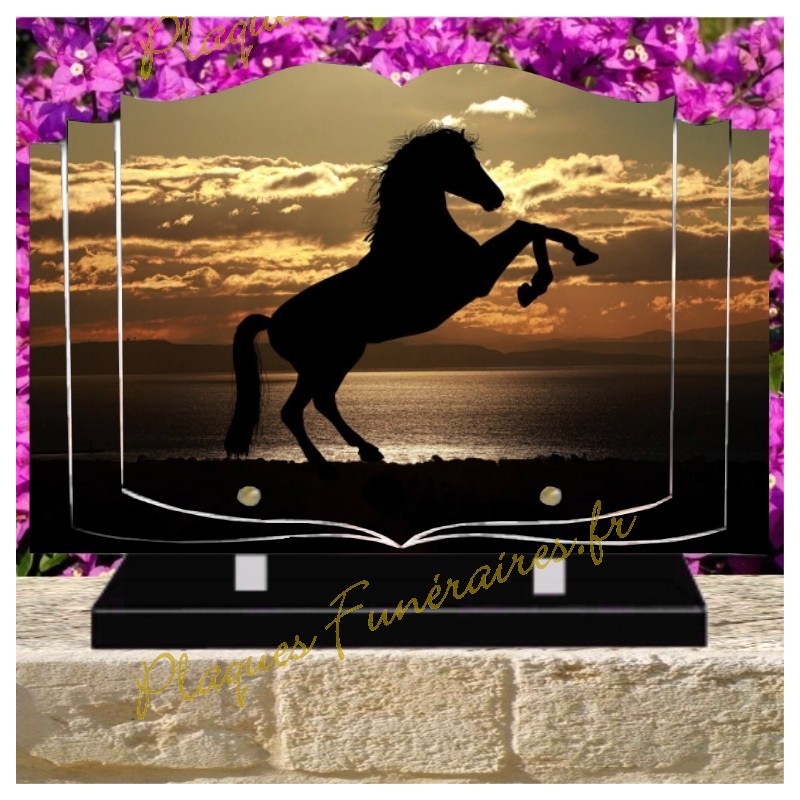 PLAQUE FUNÉRAIRE LIVRE PLEXI CHEVAUX W00306