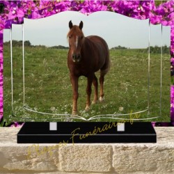 PLAQUE FUNÉRAIRE LIVRE PLEXI CHEVAUX W00309