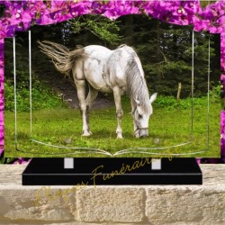 PLAQUE FUNÉRAIRE LIVRE PLEXI CHEVAUX W00312