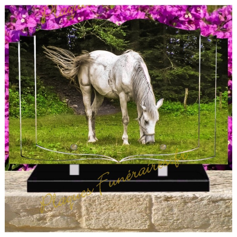 PLAQUE FUNÉRAIRE LIVRE PLEXI CHEVAUX W00312