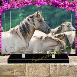 PLAQUE FUNÉRAIRE LIVRE PLEXI CHEVAUX W00315