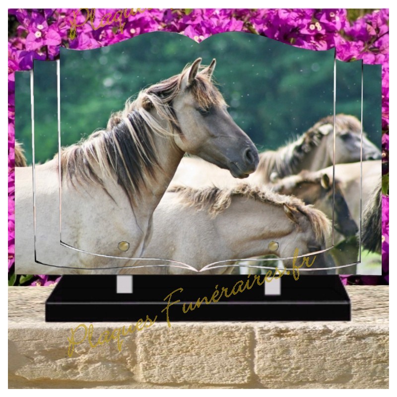 PLAQUE FUNÉRAIRE LIVRE PLEXI CHEVAUX W00315