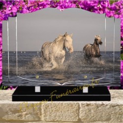 PLAQUE FUNÉRAIRE LIVRE PLEXI CHEVAUX W00316