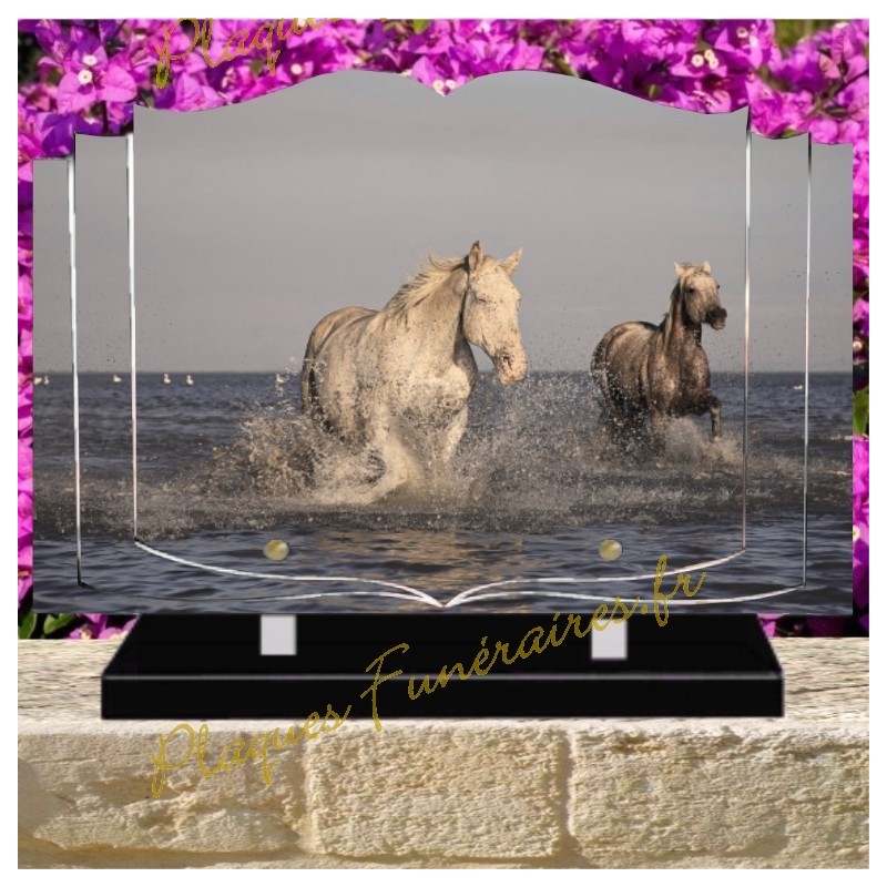 PLAQUE FUNÉRAIRE LIVRE PLEXI CHEVAUX W00316