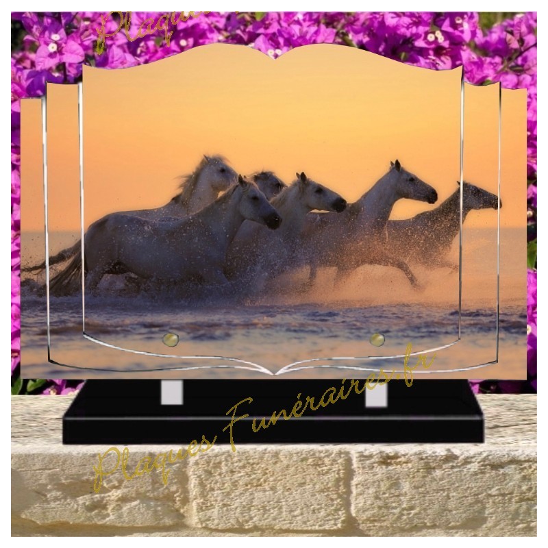 PLAQUE FUNÉRAIRE LIVRE PLEXI CHEVAUX W00317