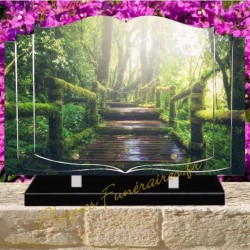 PLAQUE FUNÉRAIRE LIVRE PLEXI NATURE W00413