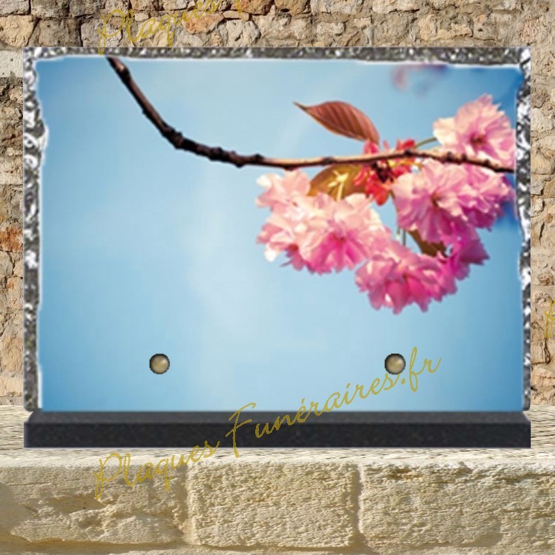 PLAQUE FUNÉRAIRE LAVE ÉMAILLÉE FLEURS NATURE PLAQUE FUNÉRAIRE LAVE ÉMAILLÉE FLEURS NATURE