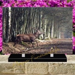 PLAQUE FUNÉRAIRE PLEXI CHASSE 0204