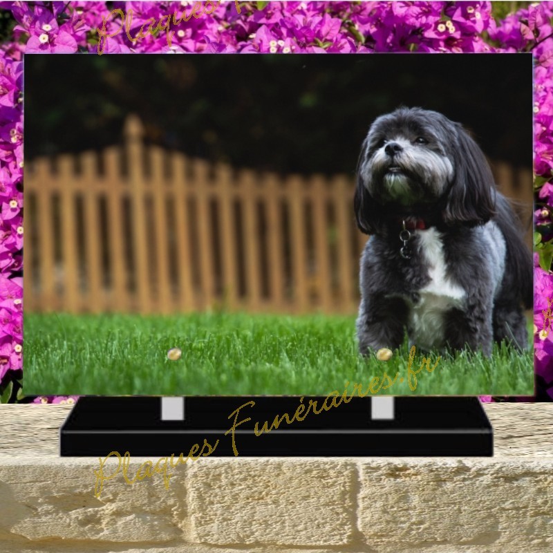 PLAQUE FUNÉRAIRE PLEXI CHIEN SHIH TZU