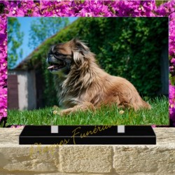 PLAQUE FUNÉRAIRE PLEXI CHIEN PEKINOIS