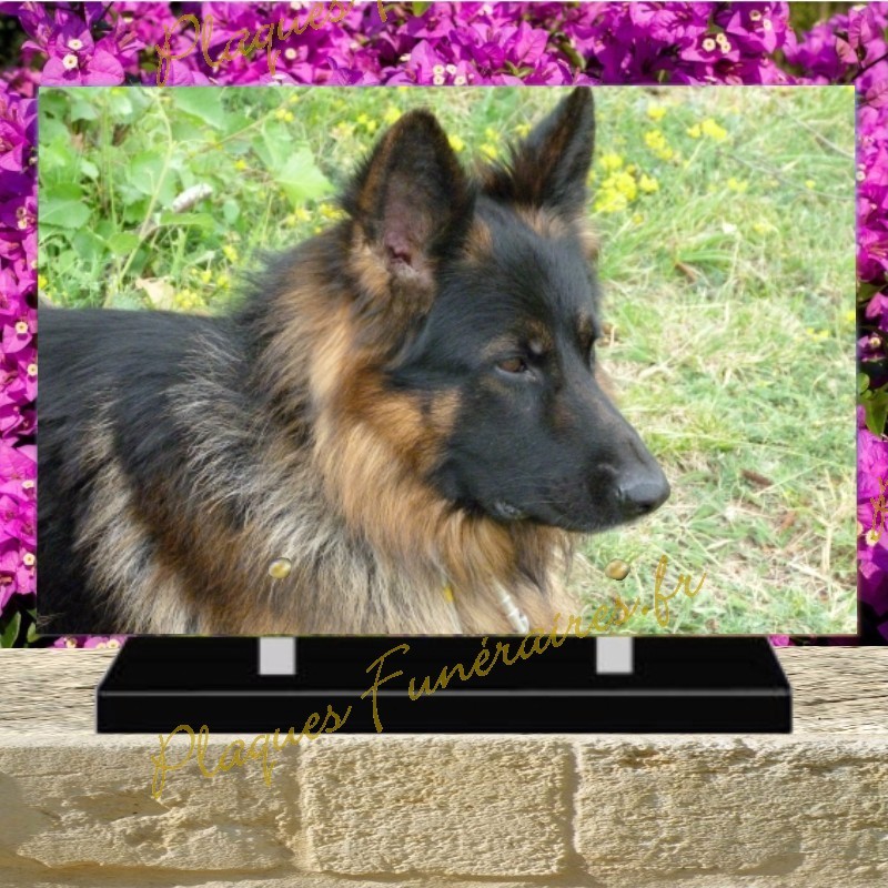 PLAQUE FUNÉRAIRE PLEXI CHIEN BERGER ALLEMAND III