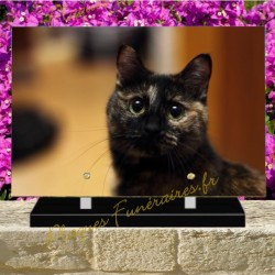 PLAQUE FUNÉRAIRE PLEXI CHAT BOBTAIL