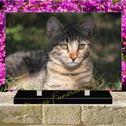 PLAQUE FUNÉRAIRE PLEXI CHAT TOYGER