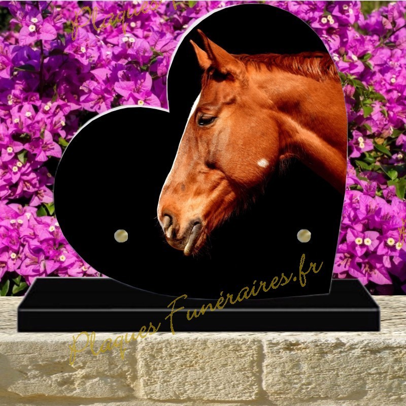 PLAQUE FUNÉRAIRE COEUR PLEXI CHEVAUX 0308