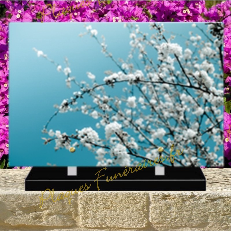 PLAQUE FUNÉRAIRE PLEXI ARBRE FLEURI 0220 PLAQUE FUNÉRAIRE PLEXI ARBRE FLEURI 0220