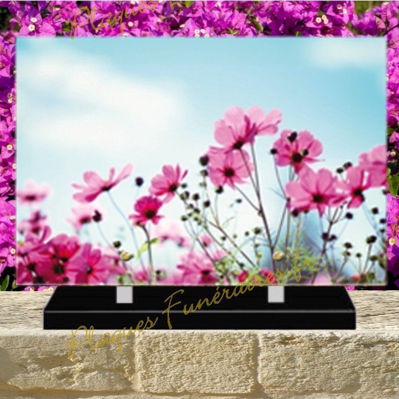 PLAQUE FUNÉRAIRE PLEXI FLEURS ROSES 0224