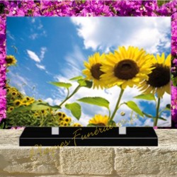 FUNÉRAIRE PLEXI TOURNESOLS 0225