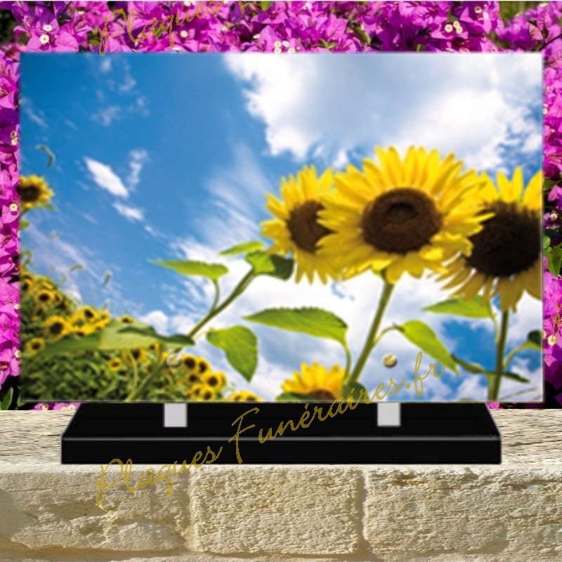 FUNÉRAIRE PLEXI TOURNESOLS 0225 FUNÉRAIRE PLEXI TOURNESOLS 0225