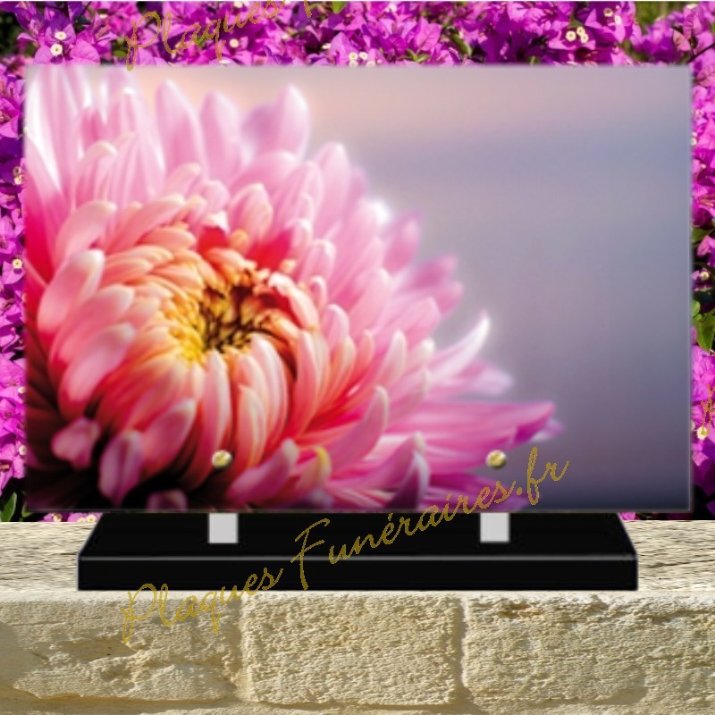 PLAQUE FUNÉRAIRE PLEXI PIVOINES 0229 PLAQUE FUNÉRAIRE PLEXI PIVOINES 0229