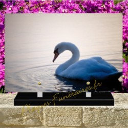 PLAQUE FUNÉRAIRE PLEXI CYGNE 0238