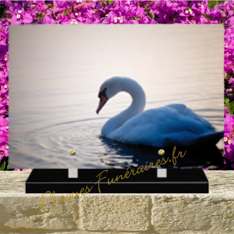 PLAQUE FUNÉRAIRE PLEXI CYGNE 0238 PLAQUE FUNÉRAIRE PLEXI CYGNE 0238