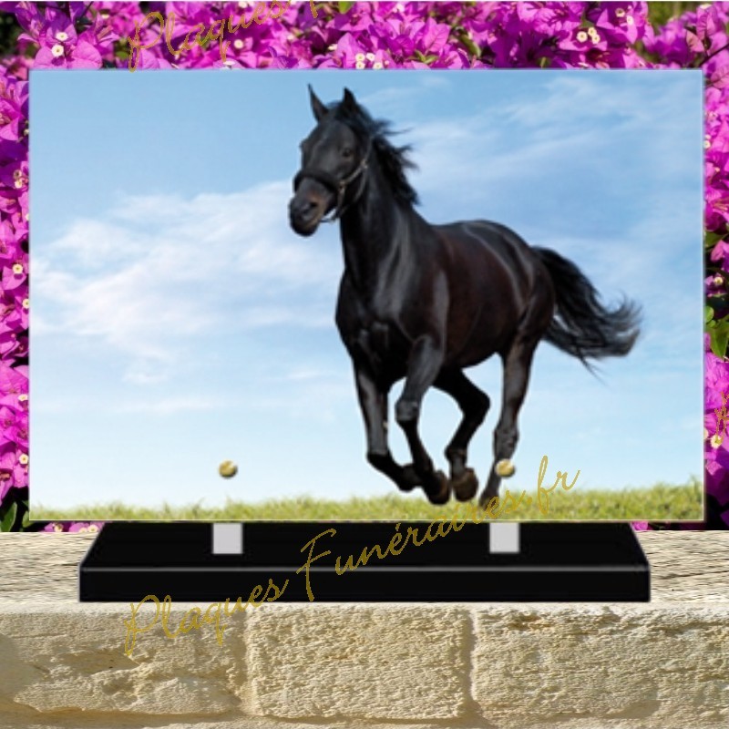 PLAQUE FUNÉRAIRE PLEXI CHEVAL 0242 PLAQUE FUNÉRAIRE PLEXI CHEVAL 0242