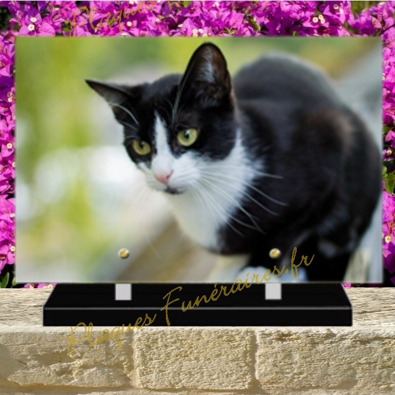 PLAQUE FUNÉRAIRE PLEXI CHAT 0245 PLAQUE FUNÉRAIRE PLEXI CHAT 0245