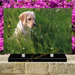 PLAQUE FUNÉRAIRE PLEXI CHIEN 0248