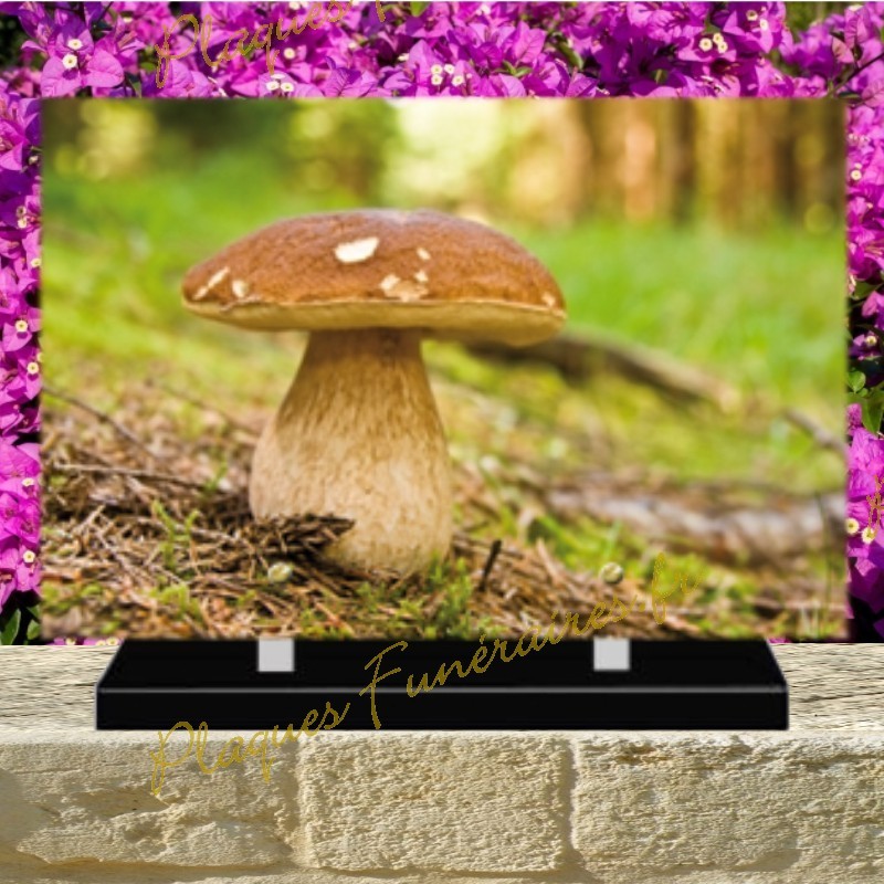 PLAQUE FUNÉRAIRE PLEXI CHAMPIGNON 0252 PLAQUE FUNÉRAIRE PLEXI CHAMPIGNON 0252