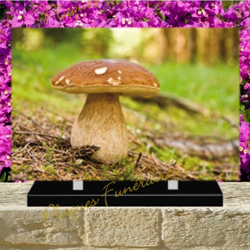 PLAQUE FUNÉRAIRE PLEXI CHAMPIGNON 0252