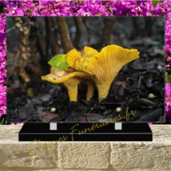 PLAQUE FUNÉRAIRE PLEXI CHAMPIGNON 0253