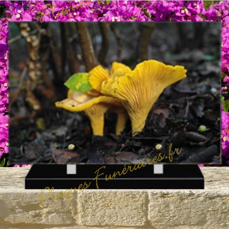 PLAQUE FUNÉRAIRE PLEXI CHAMPIGNON 0253 PLAQUE FUNÉRAIRE PLEXI CHAMPIGNON 0253