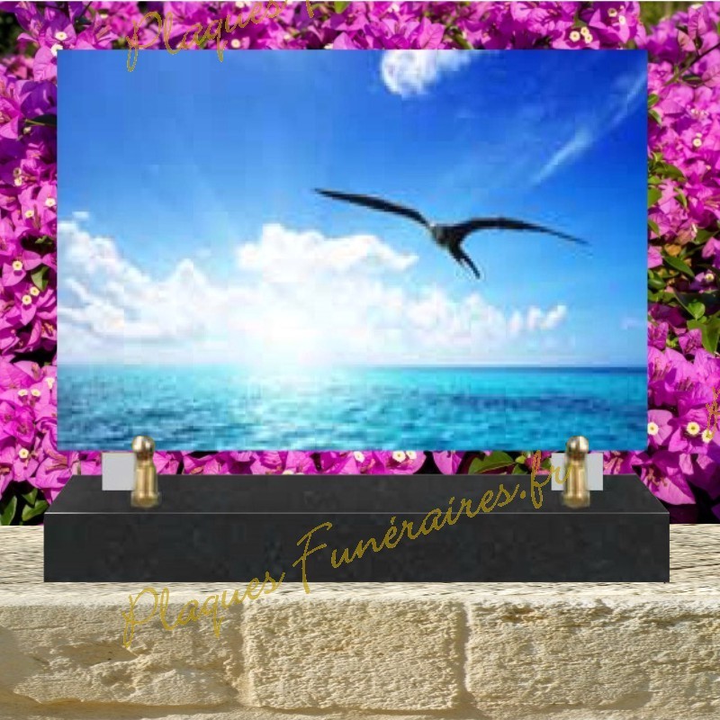ACA0205 SANS TEXTE ACA0205 SANS TEXTE