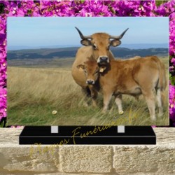 PLAQUE FUNÉRAIRE PLEXI VACHES 0261