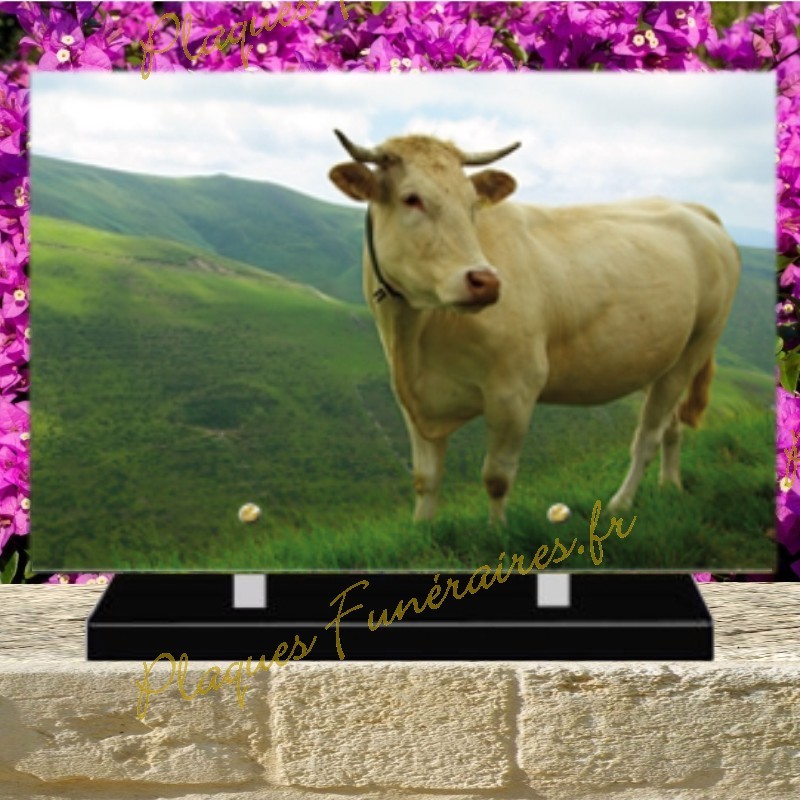 PLAQUE FUNÉRAIRE PLEXI VACHES 0262 PLAQUE FUNÉRAIRE PLEXI VACHES 0262