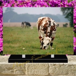 PLAQUE FUNÉRAIRE PLEXI VACHES 0263