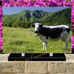 PLAQUE FUNÉRAIRE PLEXI VACHES 0264