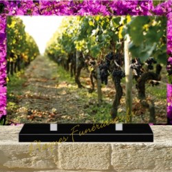 PLAQUE FUNÉRAIRE PLEXI VIGNE 0273