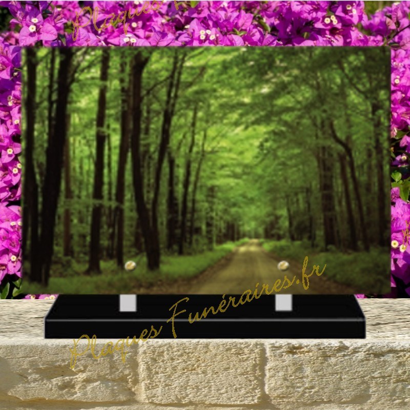 PLAQUE FUNÉRAIRE PLEXI FORET 0289 PLAQUE FUNÉRAIRE PLEXI FORET 0289