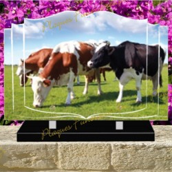 PLAQUE FUNÉRAIRE LIVRE PLEXI TROUPEAU DE VACHES 0260