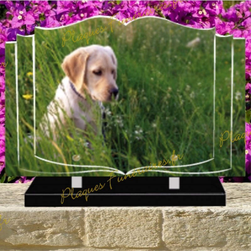 PLAQUE FUNÉRAIRE LIVRE PLEXI CHIEN 0248