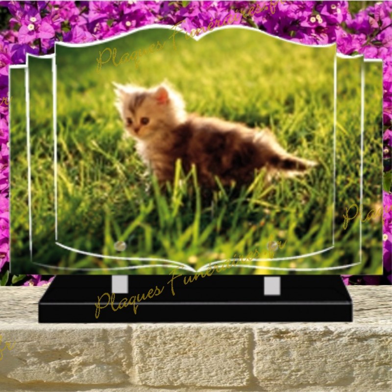 PLAQUE FUNÉRAIRE LIVRE PLEXI CHAT 0246