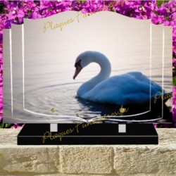 PLAQUE FUNÉRAIRE LIVRE PLEXI CYGNE 0238