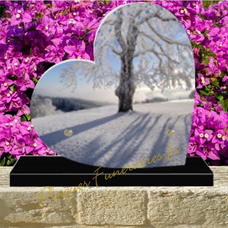 PLAQUE FUNÉRAIRE COEUR PLEXI NATURE NEIGE 0292 PLAQUE FUNÉRAIRE COEUR PLEXI NATURE NEIGE 0292