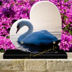 PLAQUE FUNÉRAIRE COEUR PLEXI CYGNE 0238